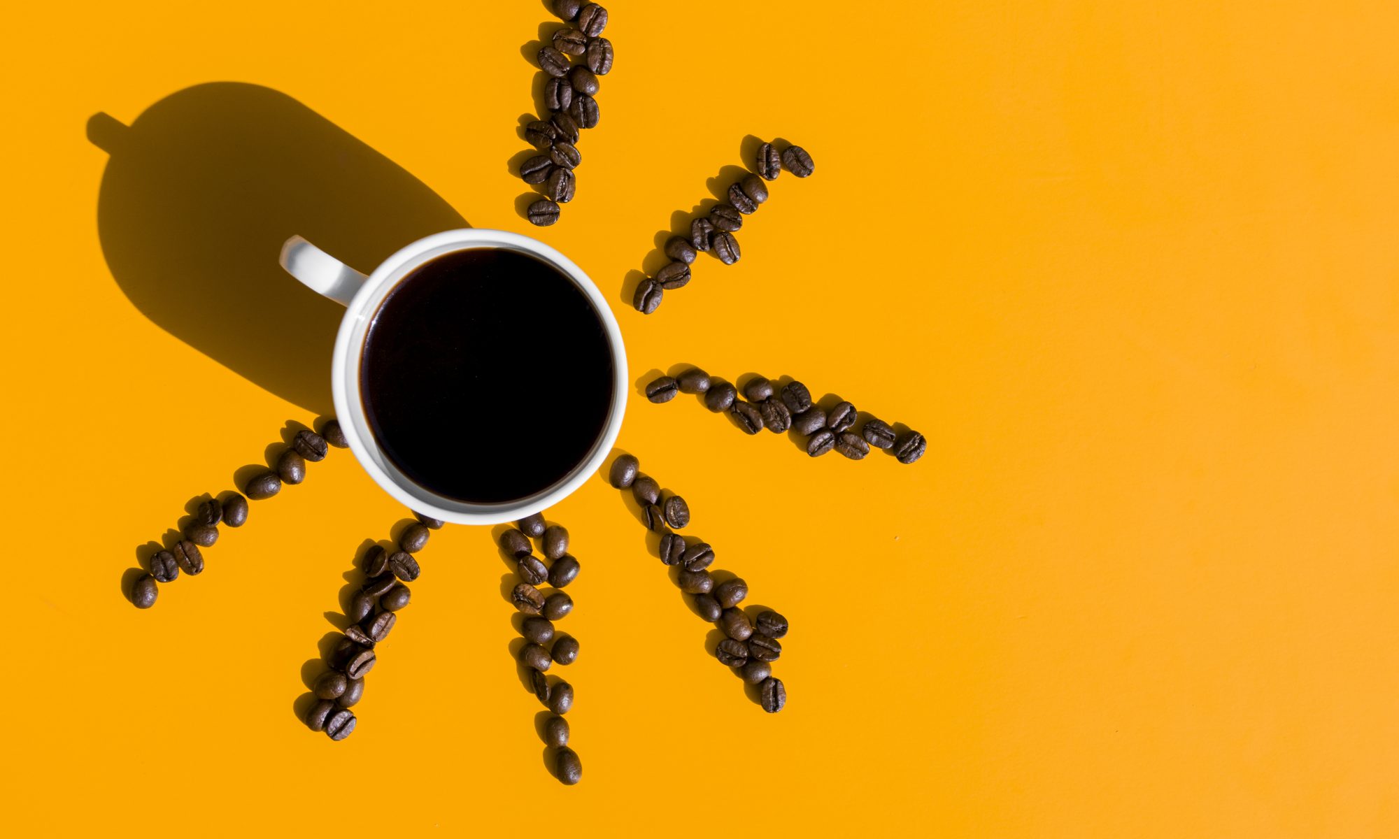 Isabelle GOURNAY audit contenu SEO GEO Lyon Référencement contact